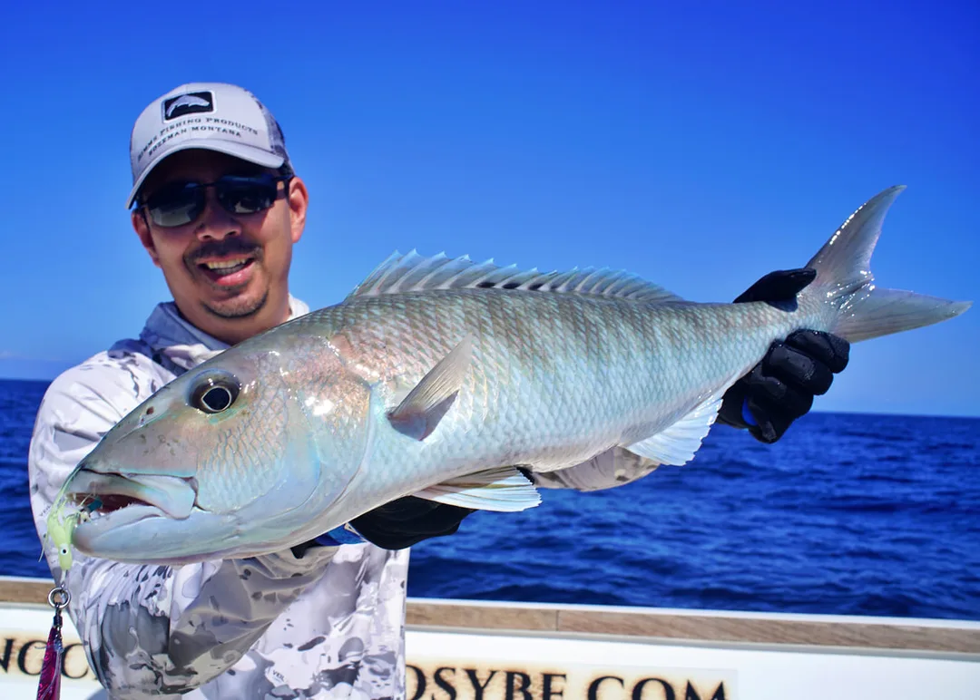 A beautiful specimen caught speed jigging in Madagascar