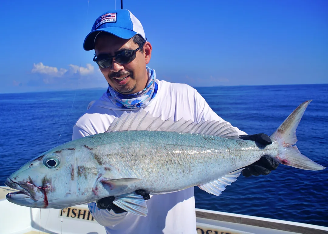 A big Green Jobfish caught in a shallow reef area on a Heru Cubera popper in Madagascar