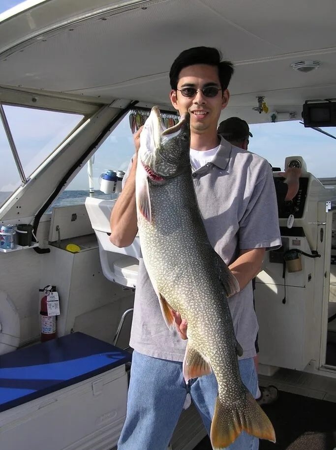 Lake Trout in Lake Michigan, Illinois