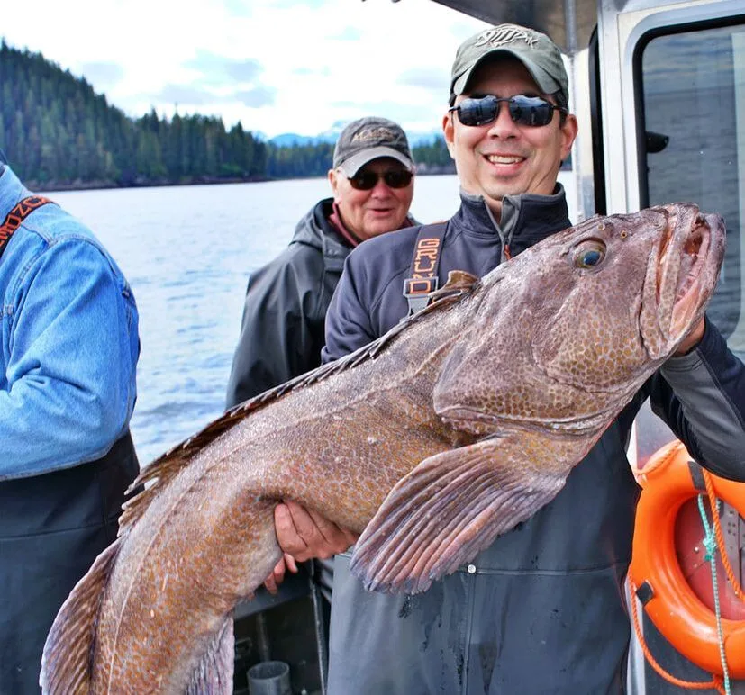Monster Lingcod