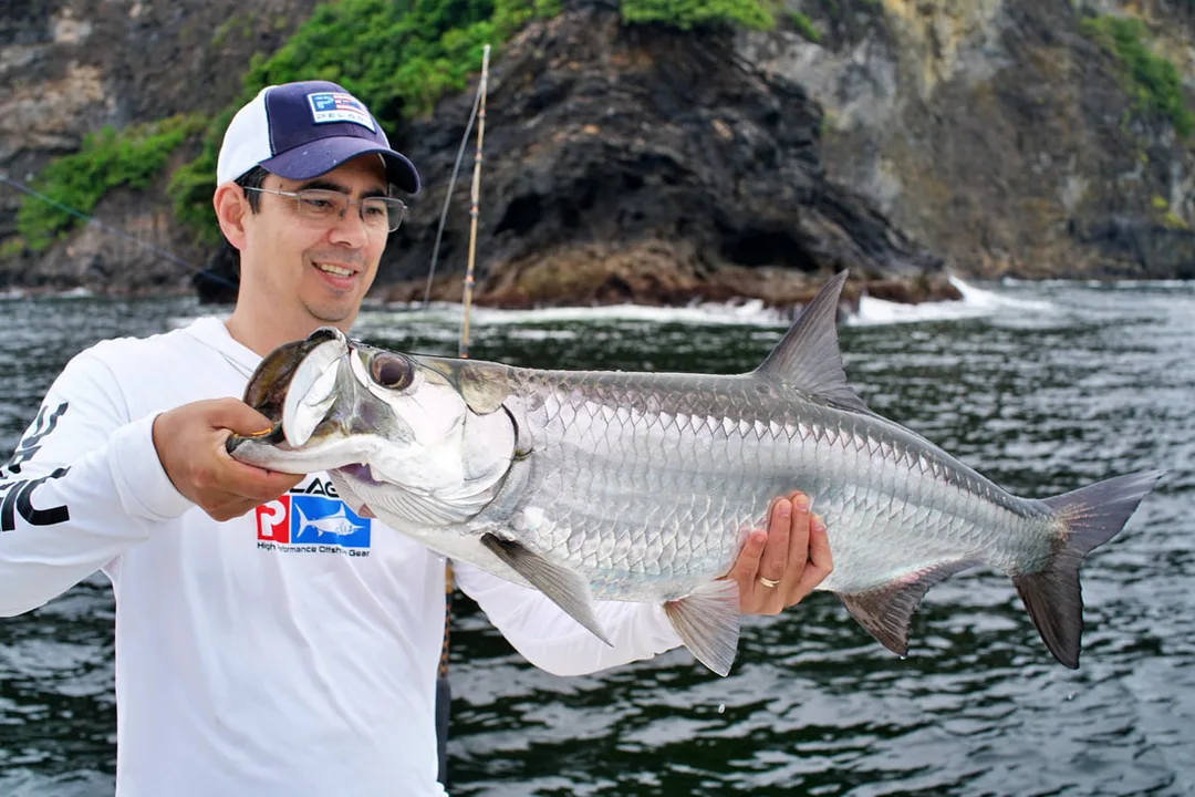 A little guy caught in Trinidad on a sardine