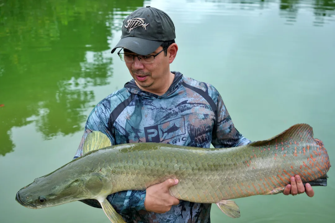 They are not all giants. Here is a little River Monster in training.