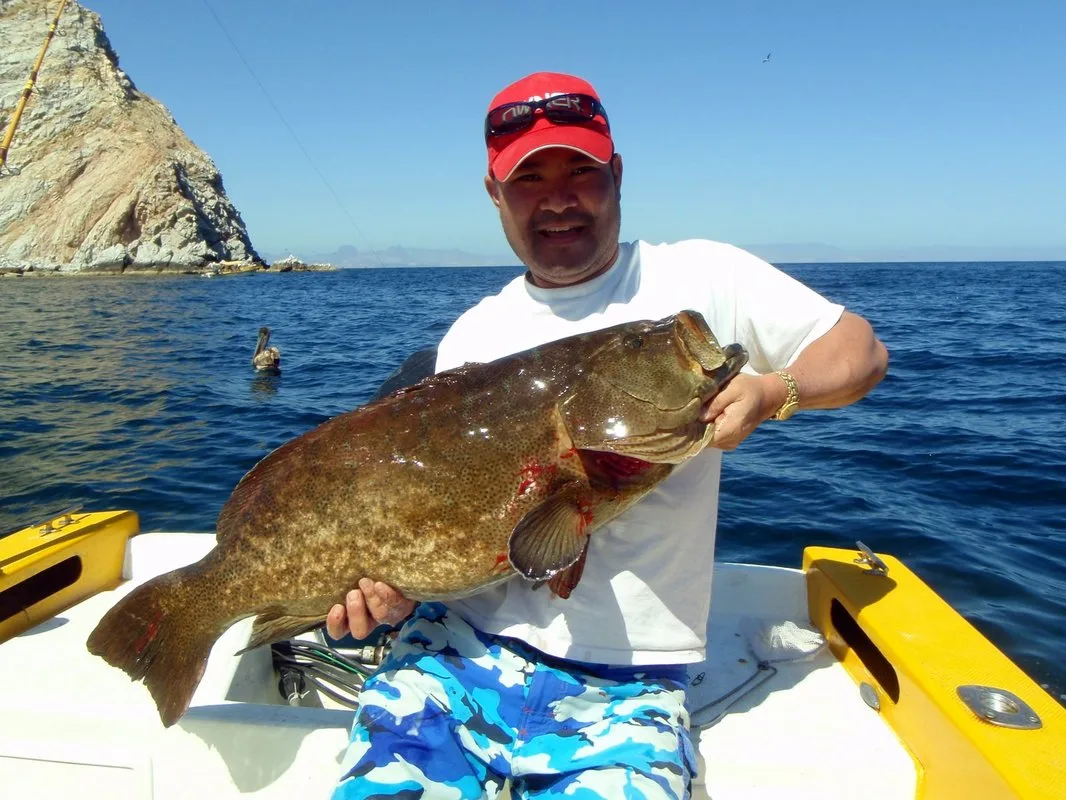 An outstanding specimen landed by my friend Marc Higashi of Performance Tackle on a surface iron lure