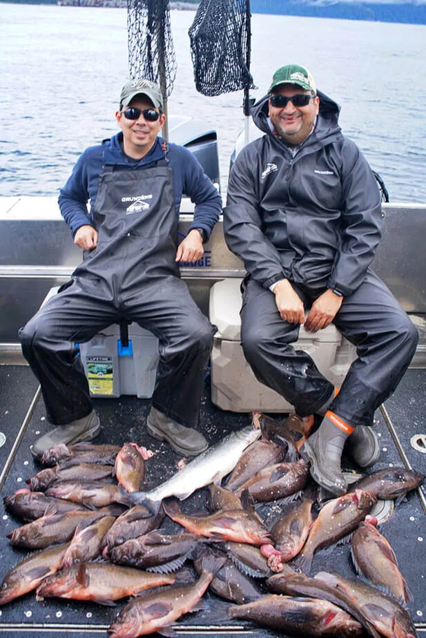 A nice catch of pelagic Rockfish in Alaska
