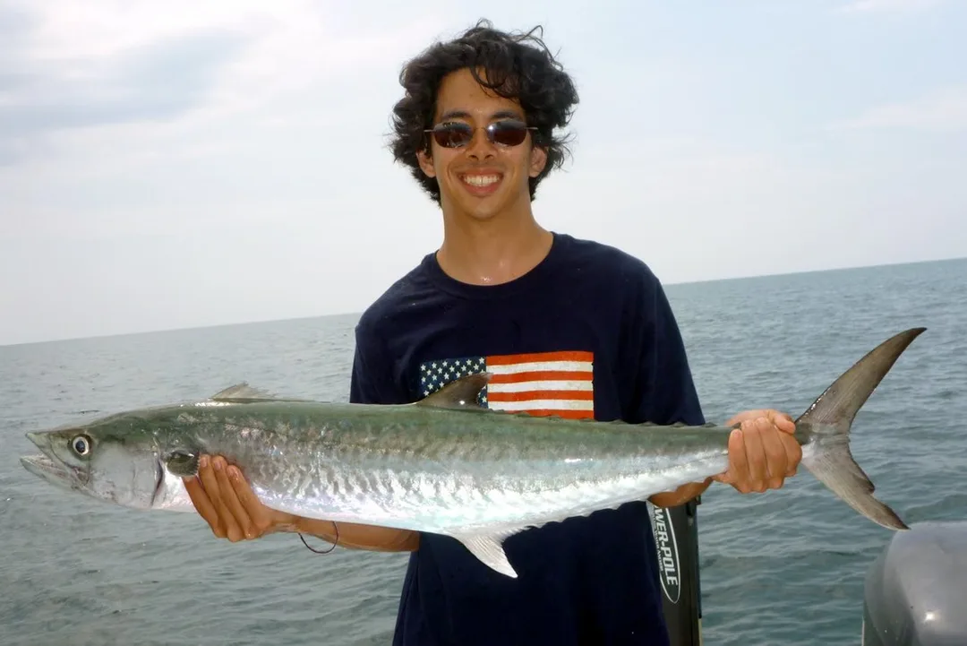 Another nice school-sized King Mackerel caught by the author's brother by slow-trolling a live bait.