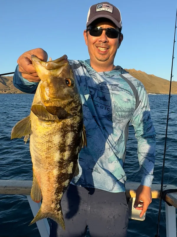 Huge Calico Bass caught in Baja