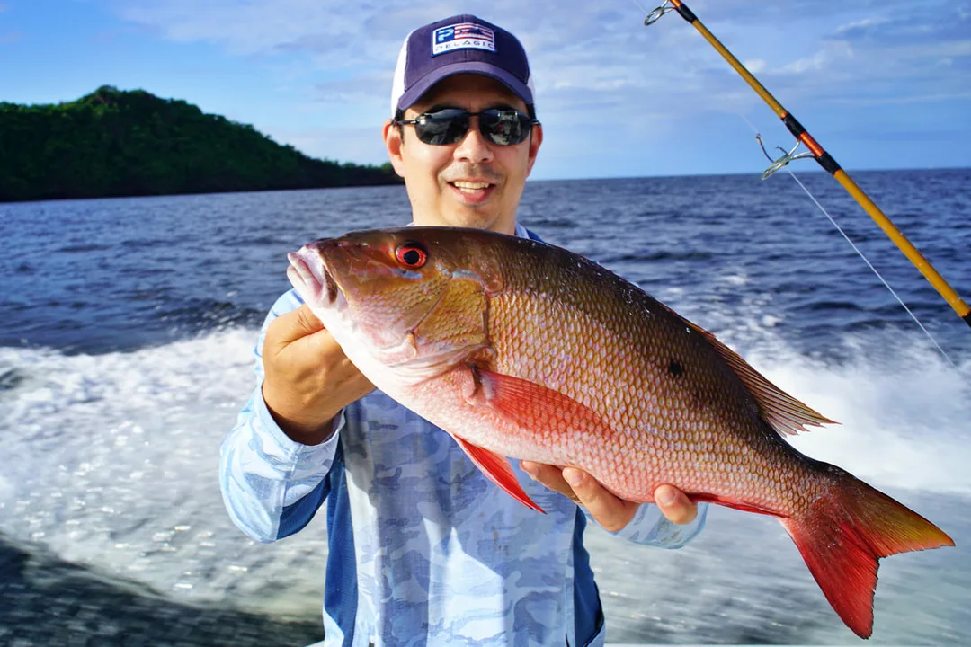 A colorful Mutton caught in Trinidad on a sardine