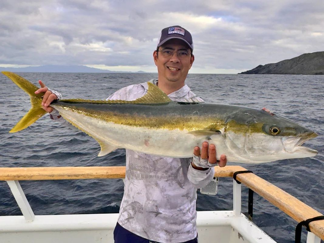 A big Yellowtail caught off the Baja coast on a Tady 4/0 yoyo jig