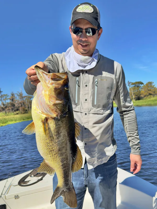 A big Florida bass caught on a shiner