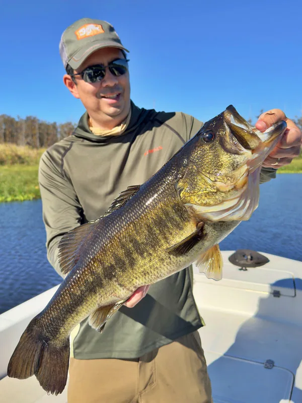 A central Florida bass caught on a shiner