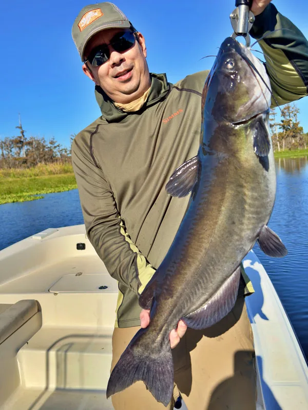 A big Channel Cat caught in Florida while bass fishing