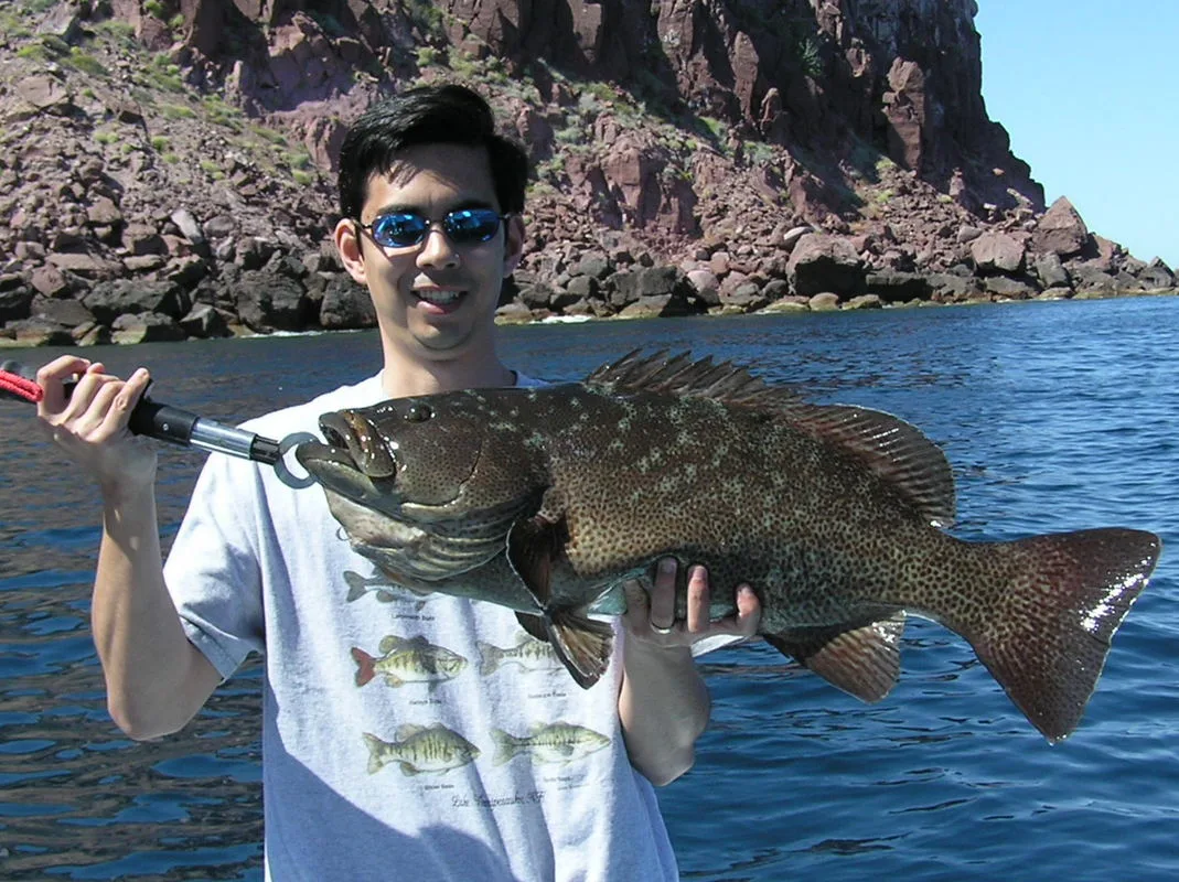 Big Leopard Grouper caught on a live Mackerel near La Paz, Mexico.  Fish this size are somewhat rare near the more populated areas like La Paz; better fishing can be found in more remote spots