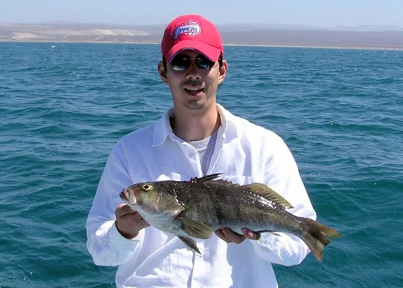 Sand Bass caught on a Krocodile spoon in San Quintin, Mexico