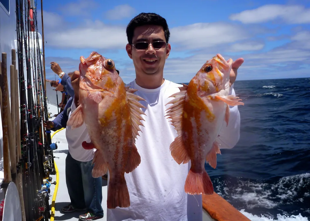Two of the many Rockfish that filled our sacks