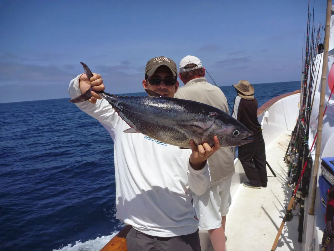 The first Bluefin on a very slow day