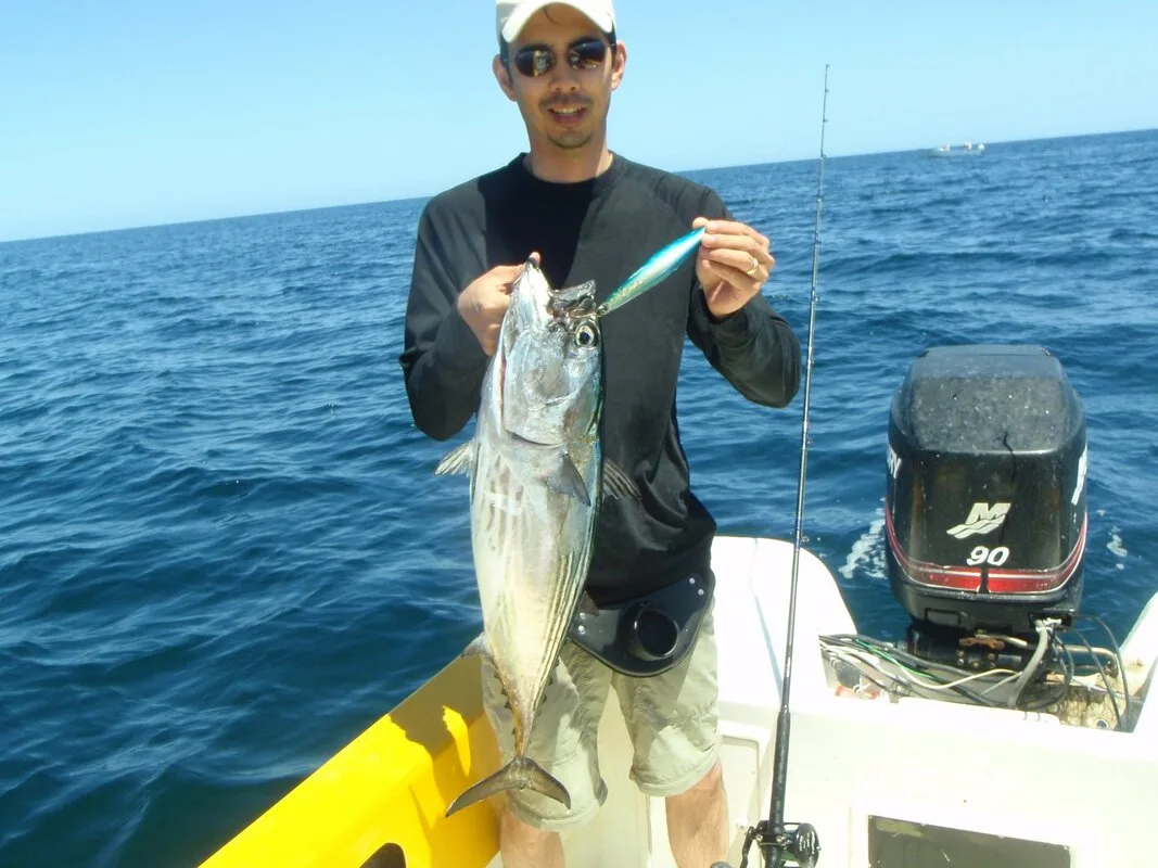 Skipjack Tuna