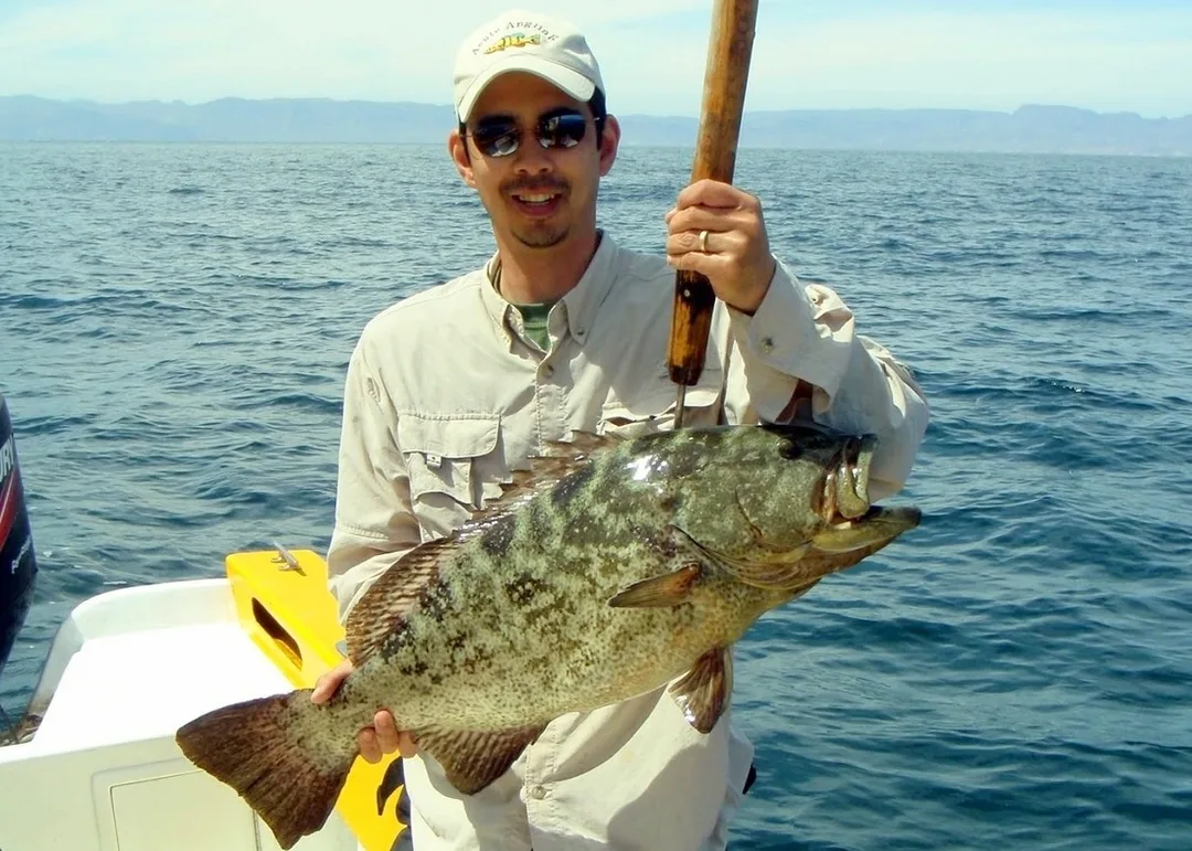 A nice Leopard Grouper caught on a live mackerel in Baja.