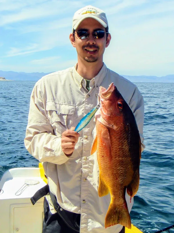 Yellow Snapper caught in Baja, Mexico