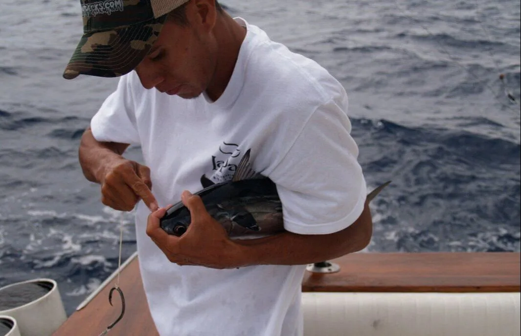 Bridling small members of the tuna family is a good way to target giant Roosters