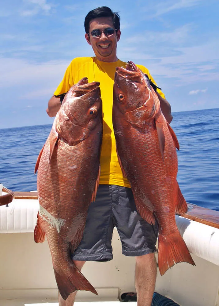 A pair of Cuberas caught in Puerto Vallarta, Mexico