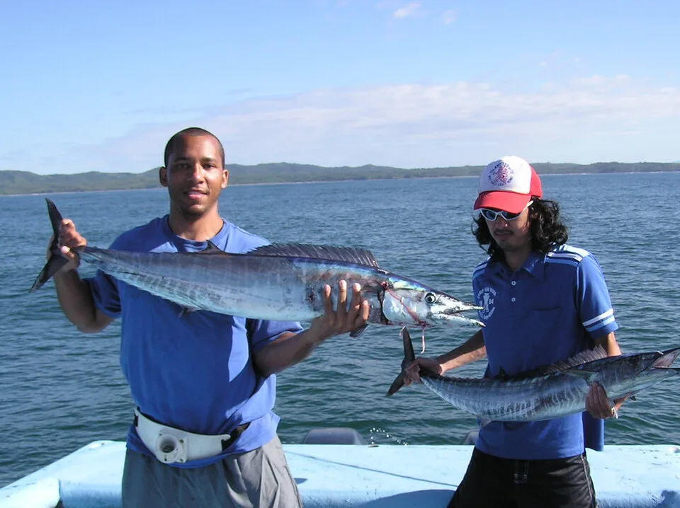 Wahoo often travel in schools, so doubles are not uncommon when you find them.
