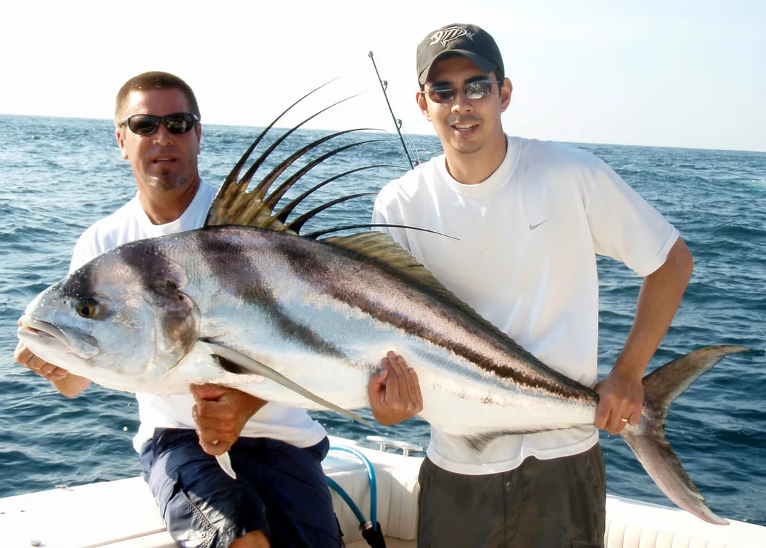 The author's largest Roosterfish to date - caught on a live 5lb skipjack tuna in Puerto Vallarta.  Any fish that takes more than one person to hold is a nice fish.