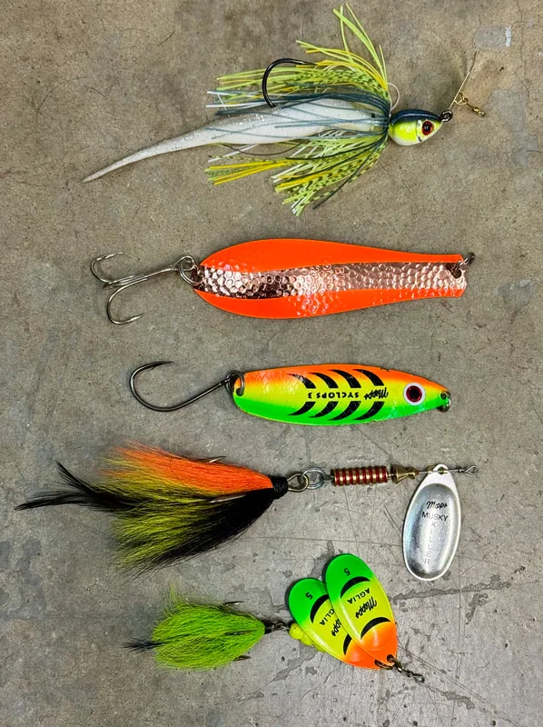 Some of the many lures that work on Pike: 3/4 oz Chatterbait with fluke trailer, Dr. Spoon Big Doctor, Mepps Syclops spoon, Mepps Musky Killer spinner, Mepps #5 double spinner
