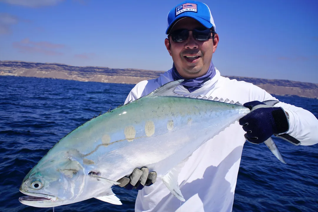 A nice Queenfish caught on a jig in Oman
