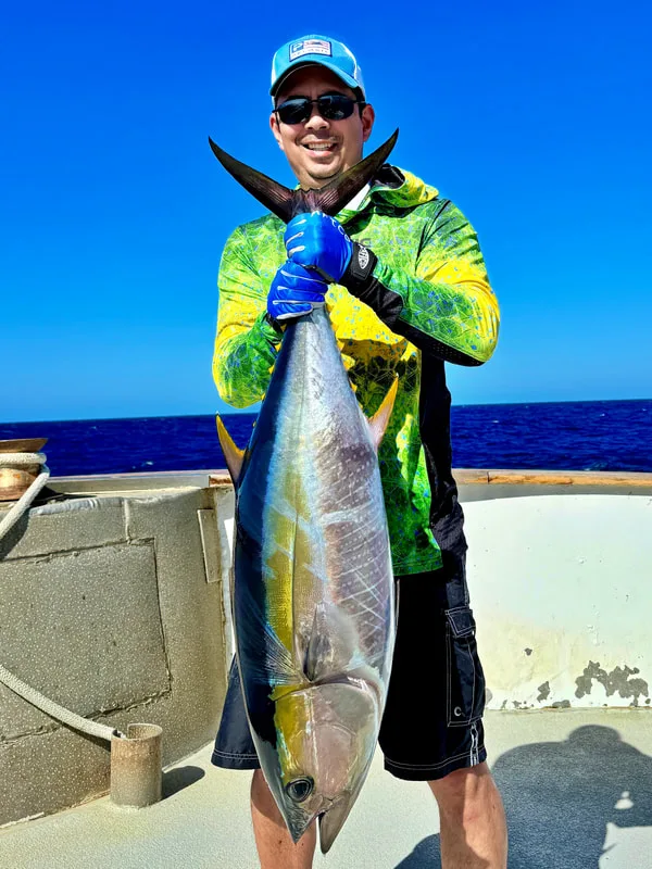 A healthy Ridge Yellowfin