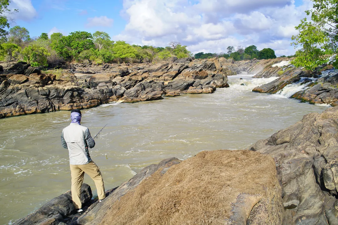Tigerfish often lie in eddies off of fast water such as this spot on the Kilombero River, 