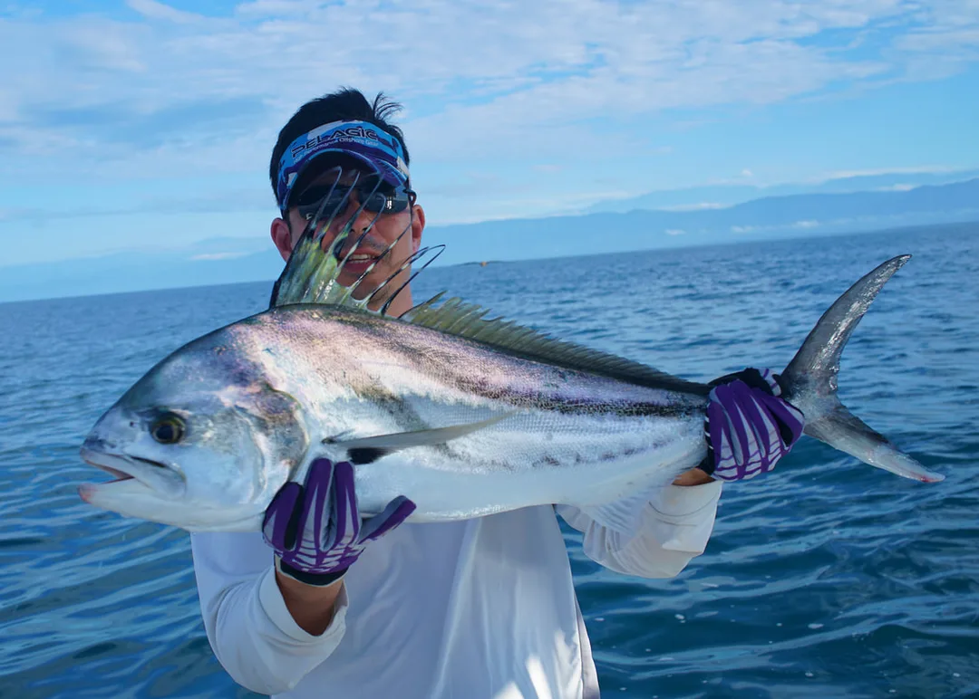 First fish of the morning - a Roosterfish on the Chug Norris Popper