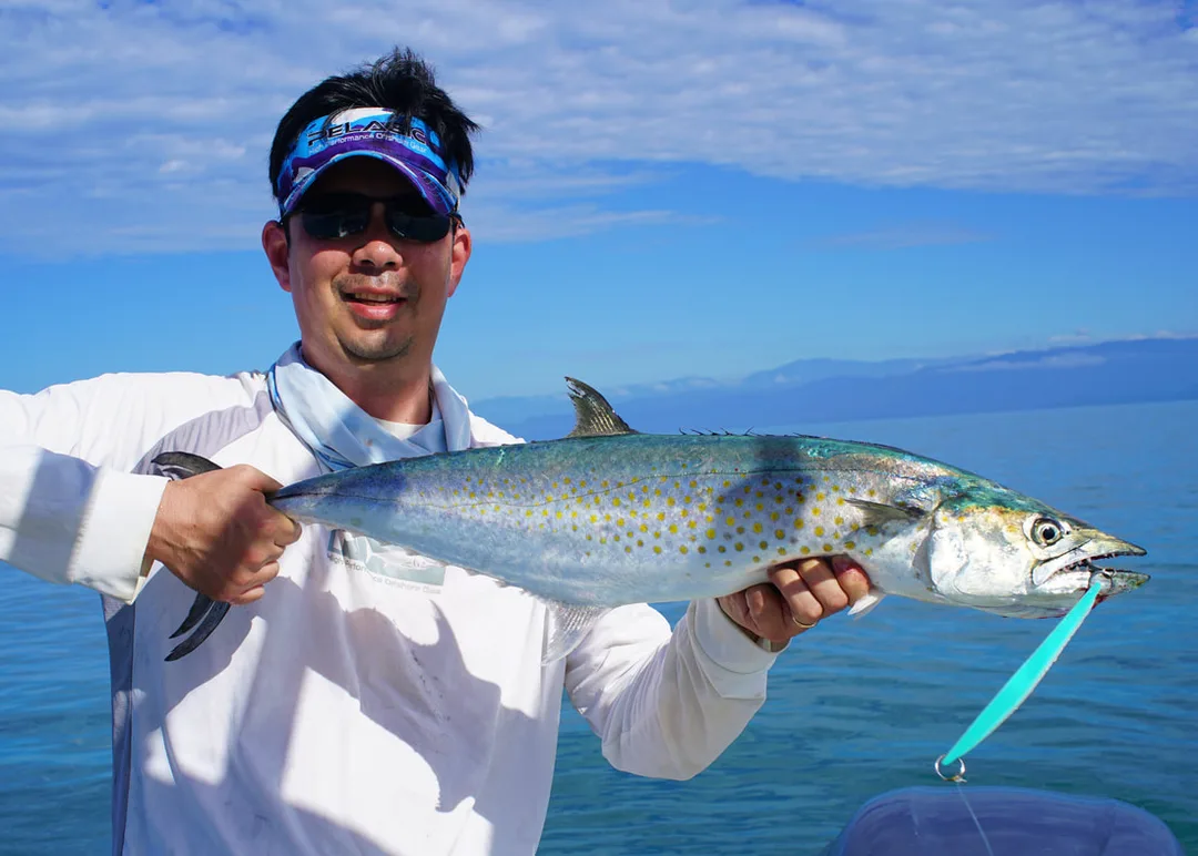 A nice-sized Sierra caught on a Tady 45 surface iron lure in Drake Bay, Costa Rica
