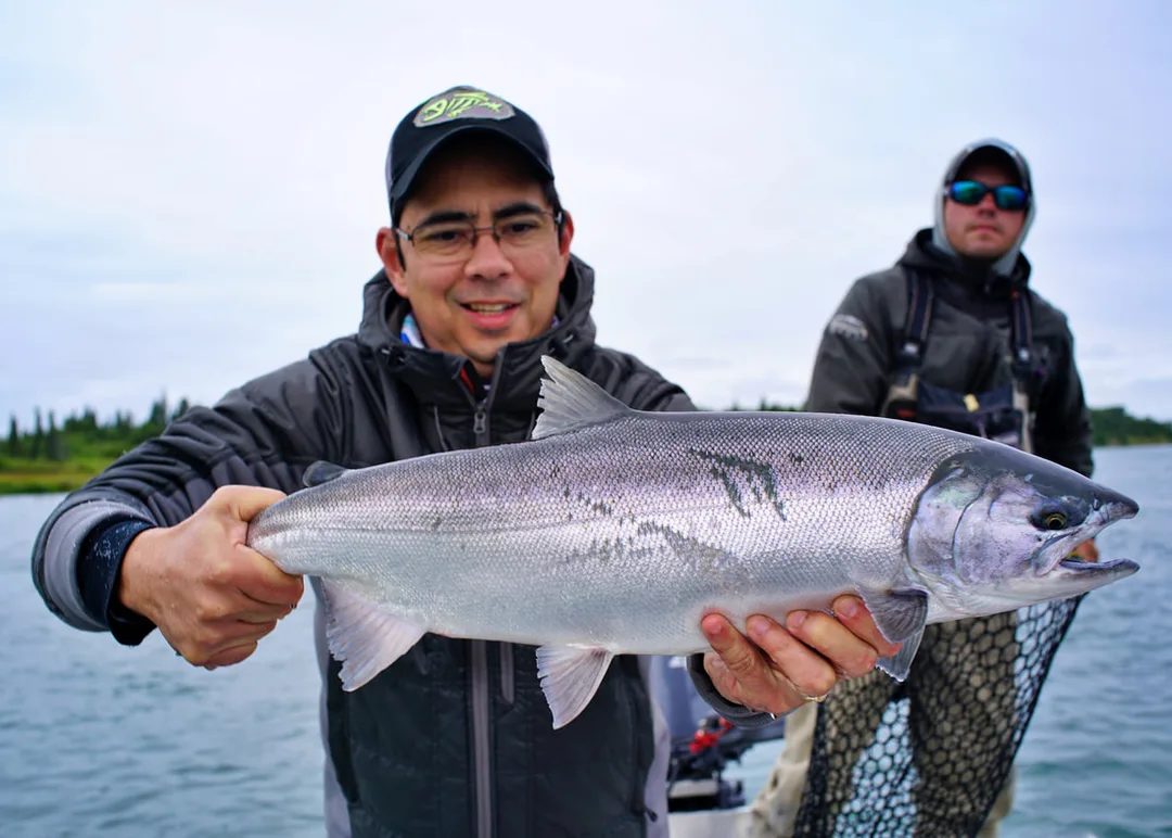 Female Silver Salmon