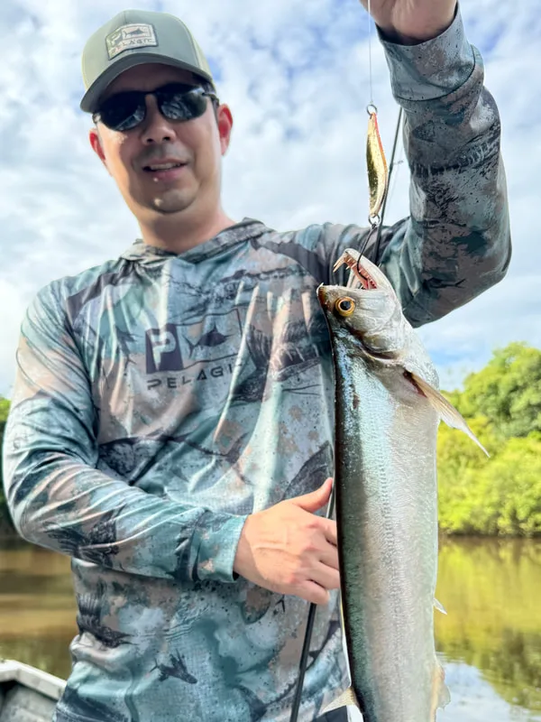 There are some smaller Payara species, like this one from Peru