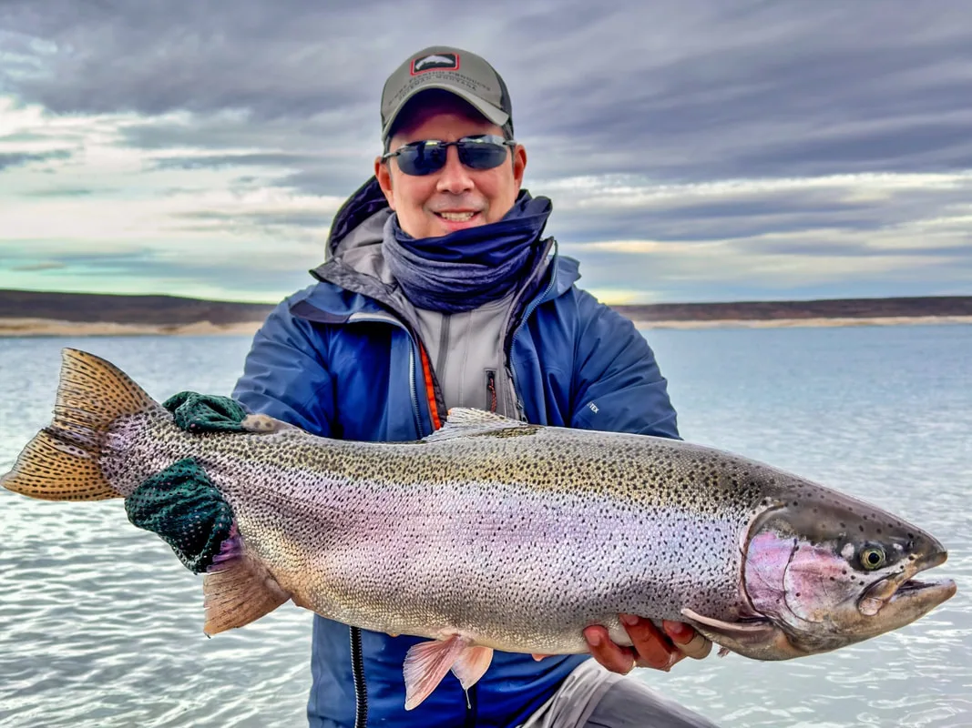 Rainbow Trout, Lake Strobel, Argentina