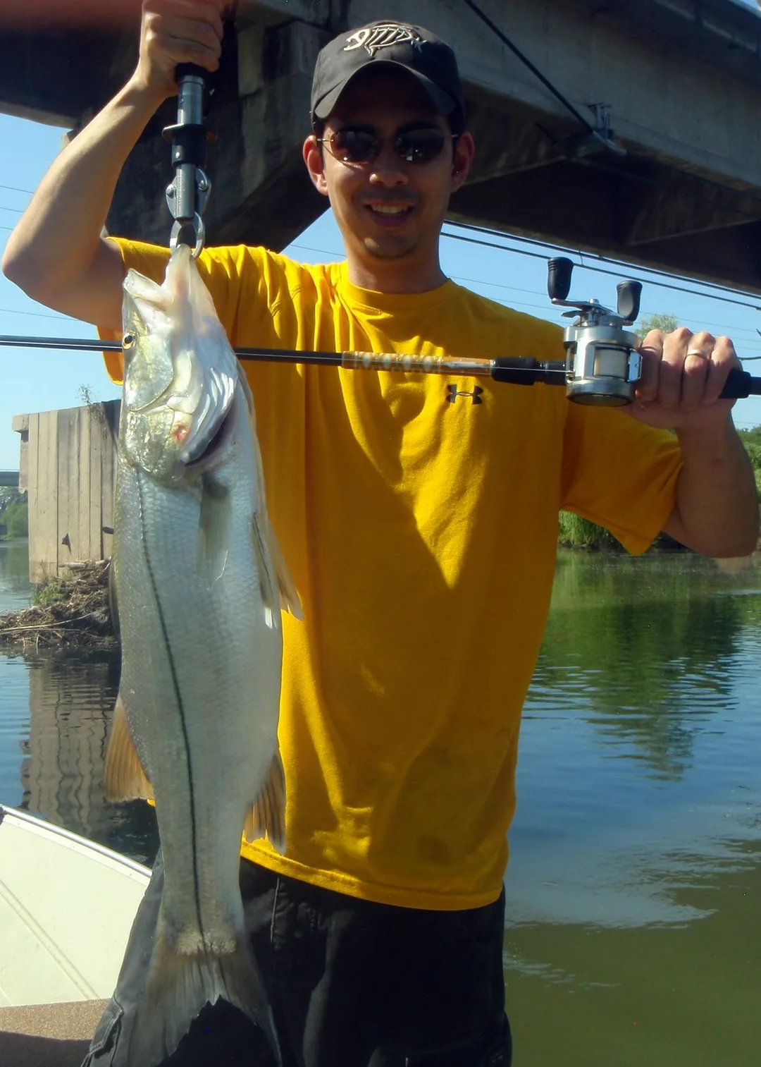 Snook caught in Puerto Vallarta, Mexico