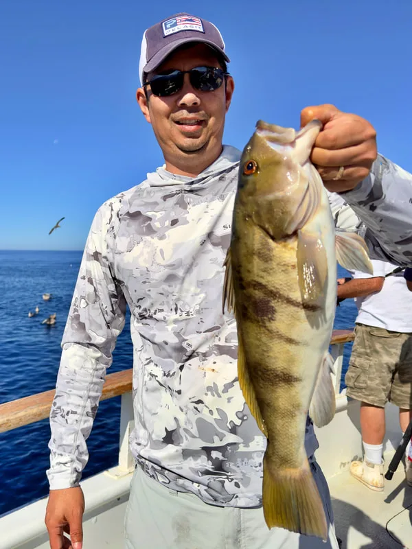 A nice Sand Bass caught on a slow pitch jig off the coast of Baja, Mexico