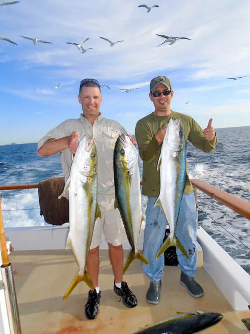 Some nice Yellowtail caught at the Coronado Islands on surface iron